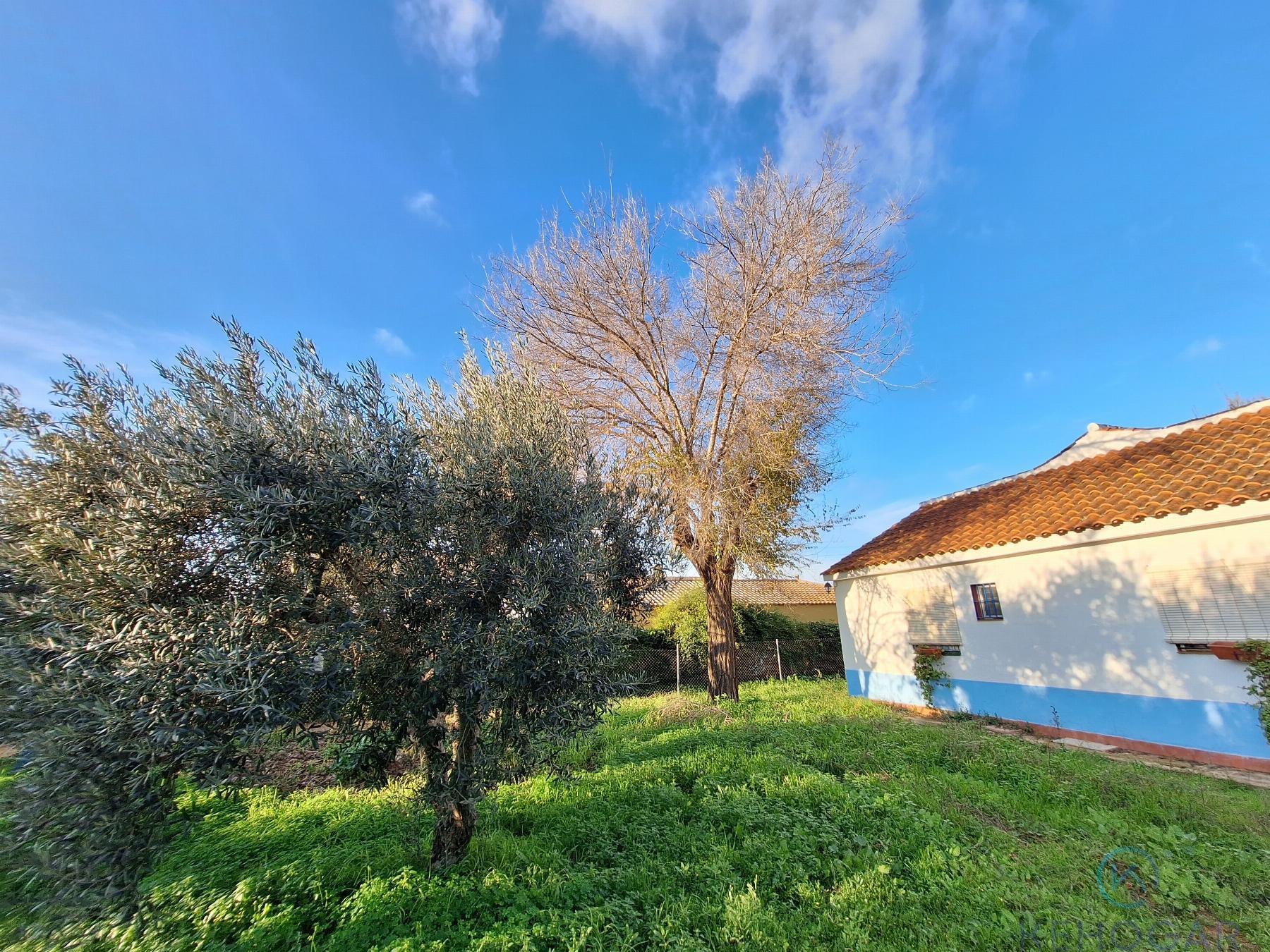 Venta de finca rústica en Dos Hermanas