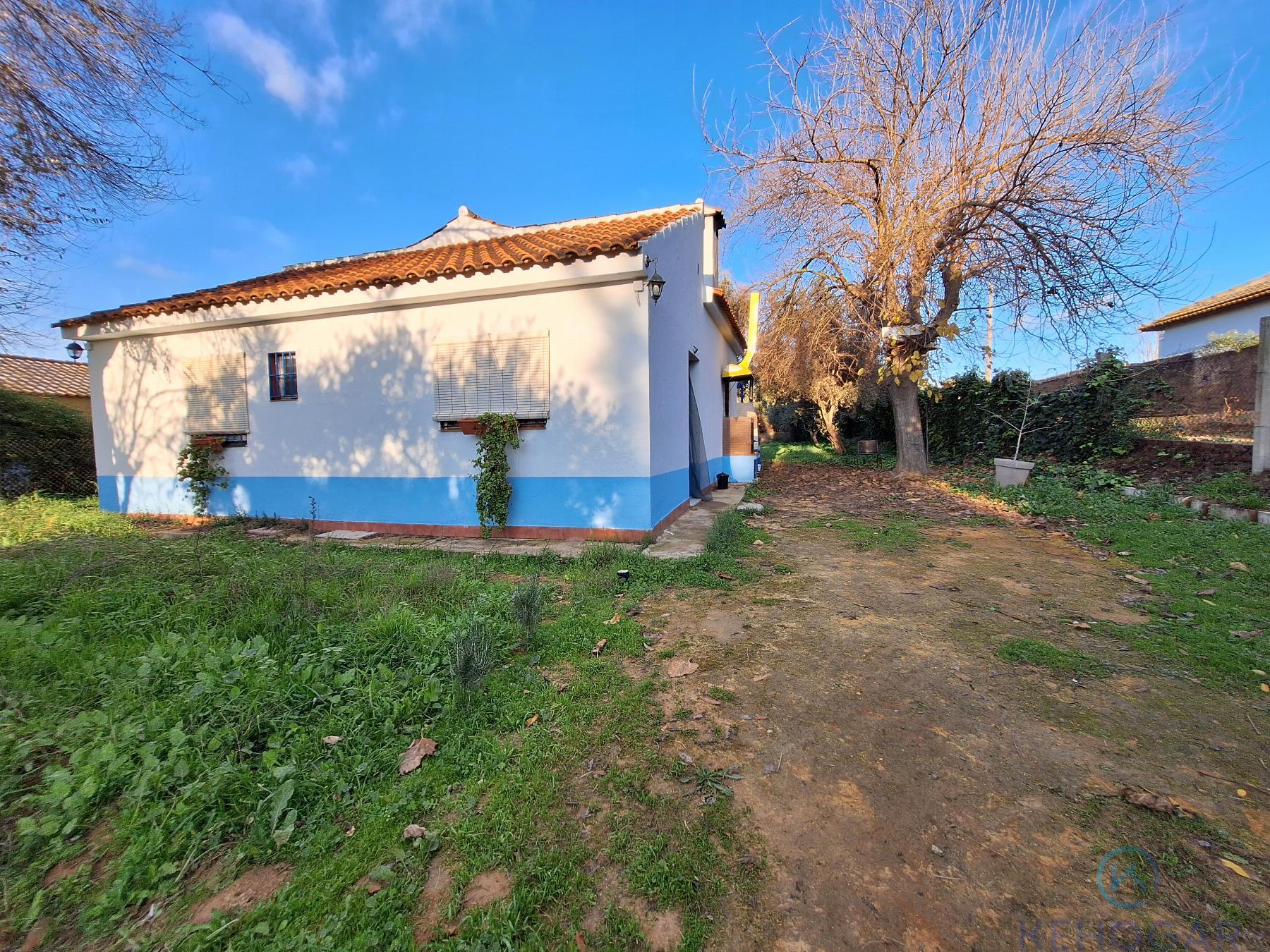 Venta de finca rústica en Dos Hermanas