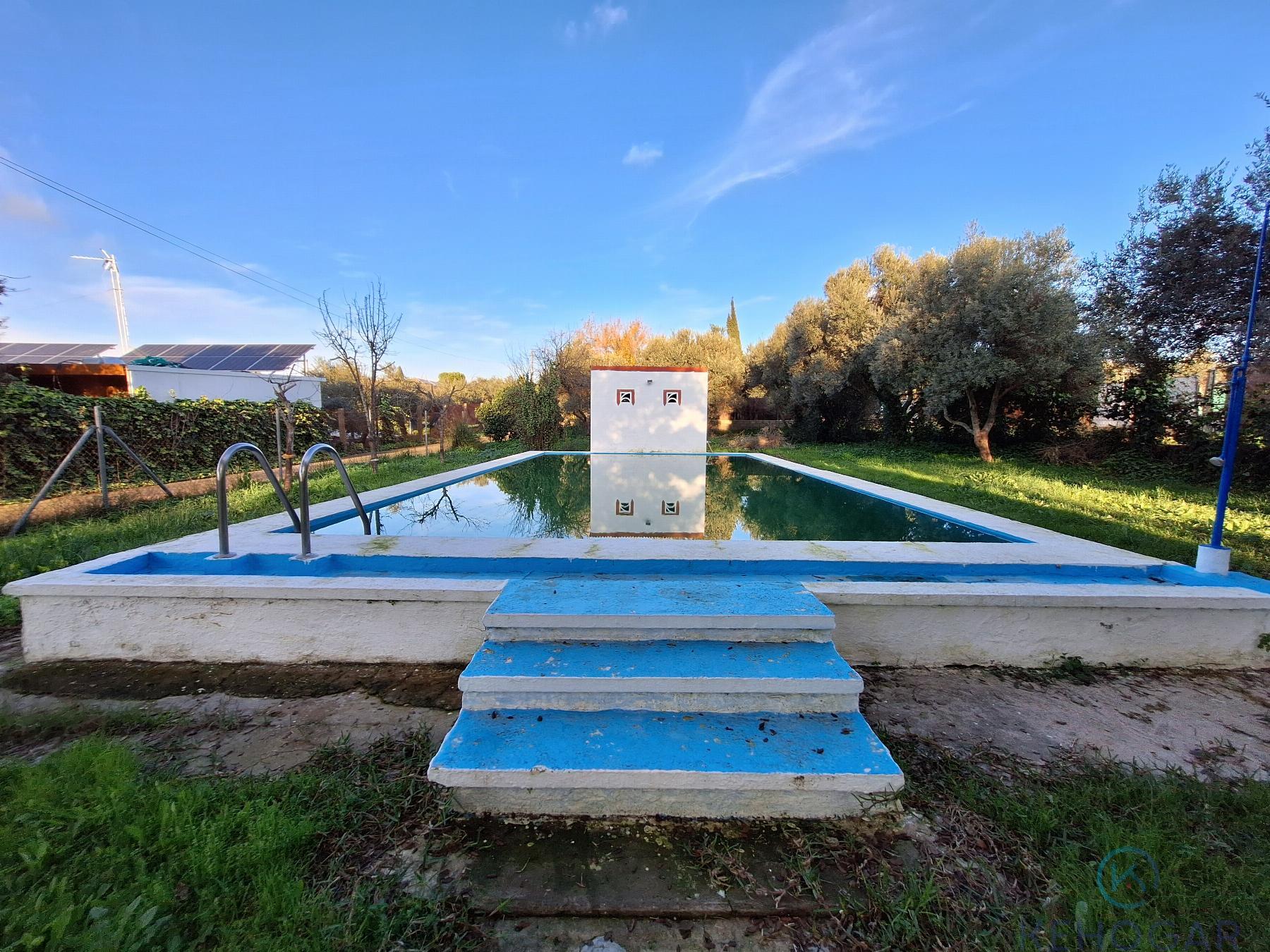 Venta de finca rústica en Dos Hermanas
