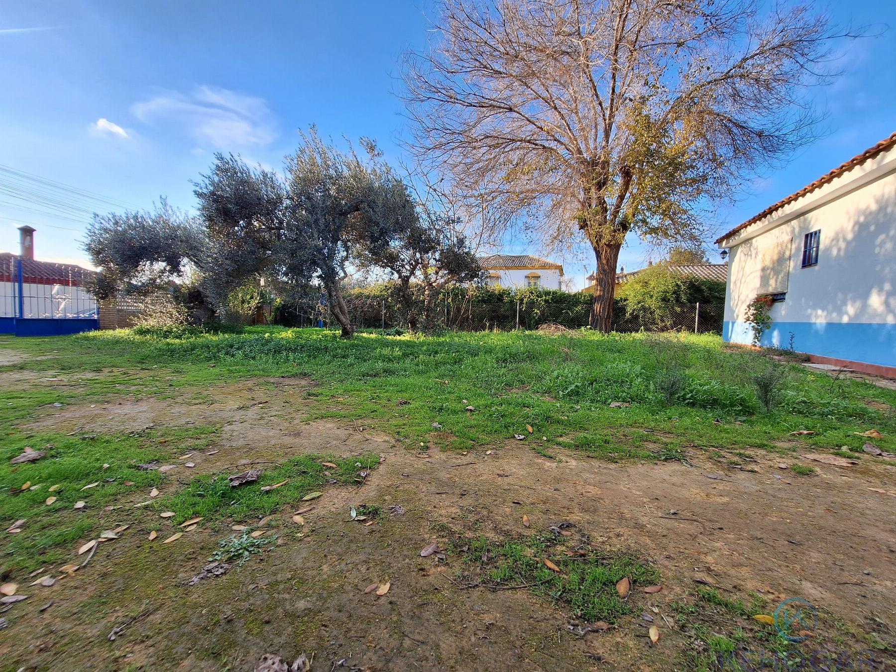Venta de finca rústica en Dos Hermanas