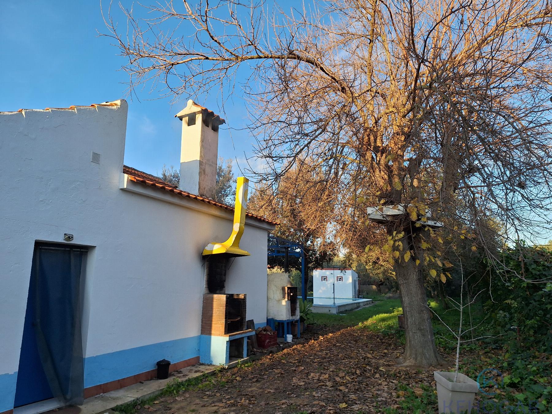 Venta de finca rústica en Dos Hermanas