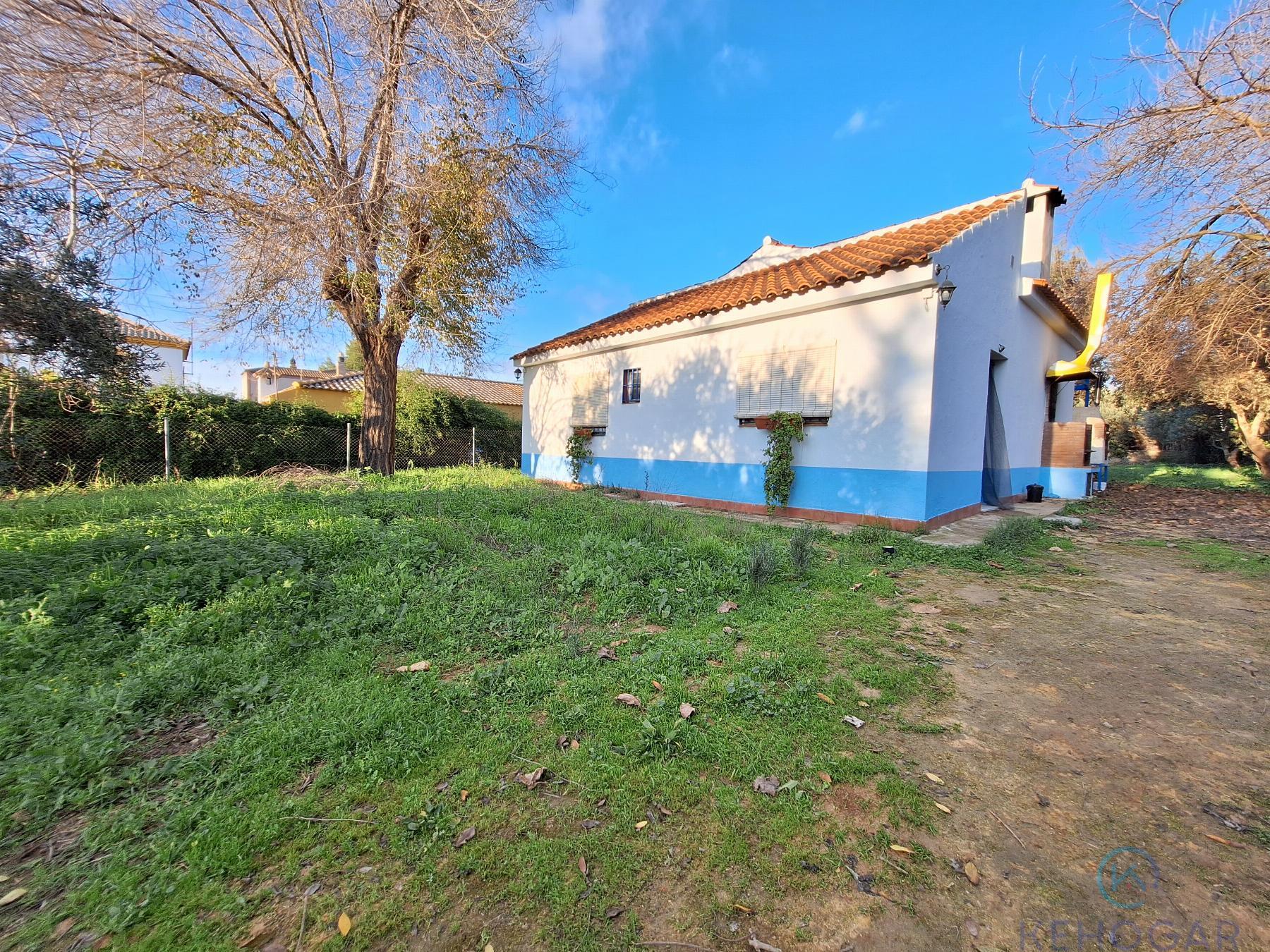 Venta de finca rústica en Dos Hermanas