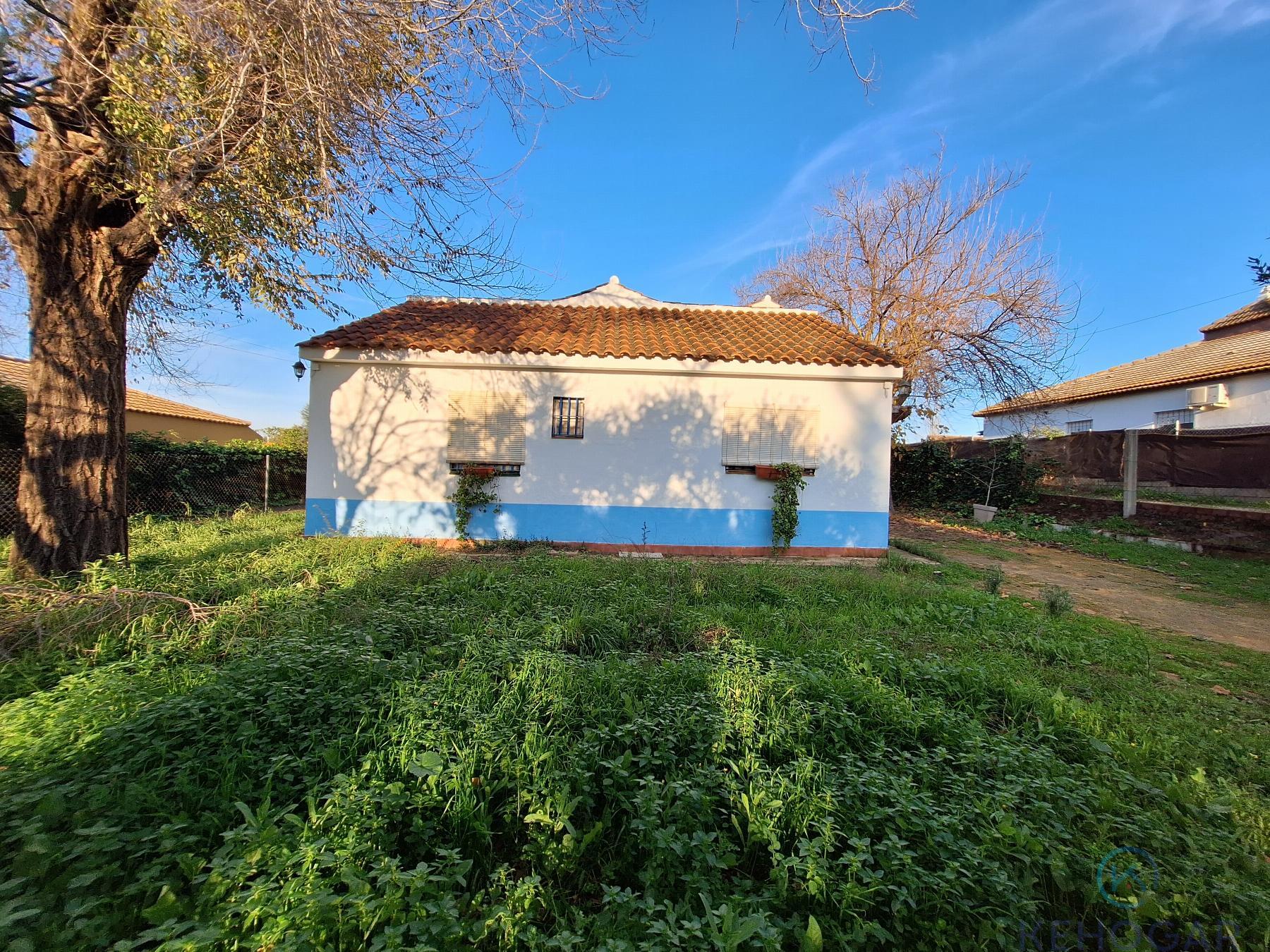 Venta de finca rústica en Dos Hermanas