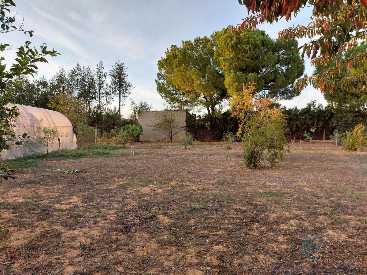 For sale of land in Dos Hermanas
