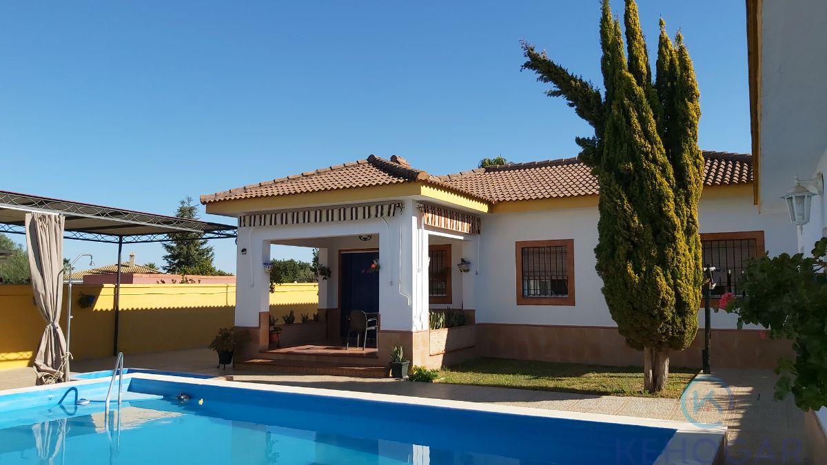For sale of rural property in Los Palacios y Villafranca
