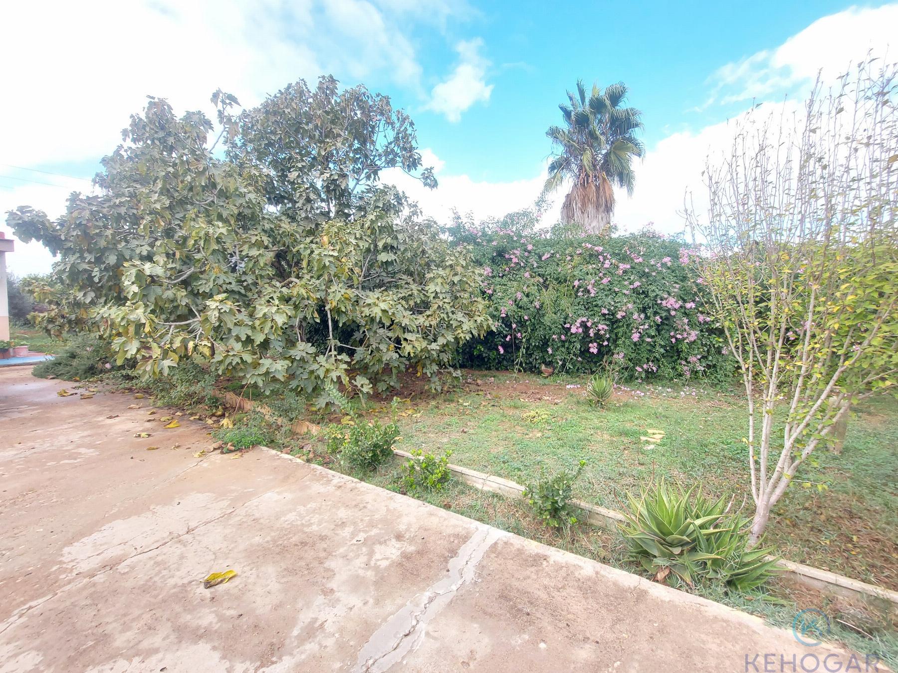 For sale of rural property in Alcalá de Guadaíra