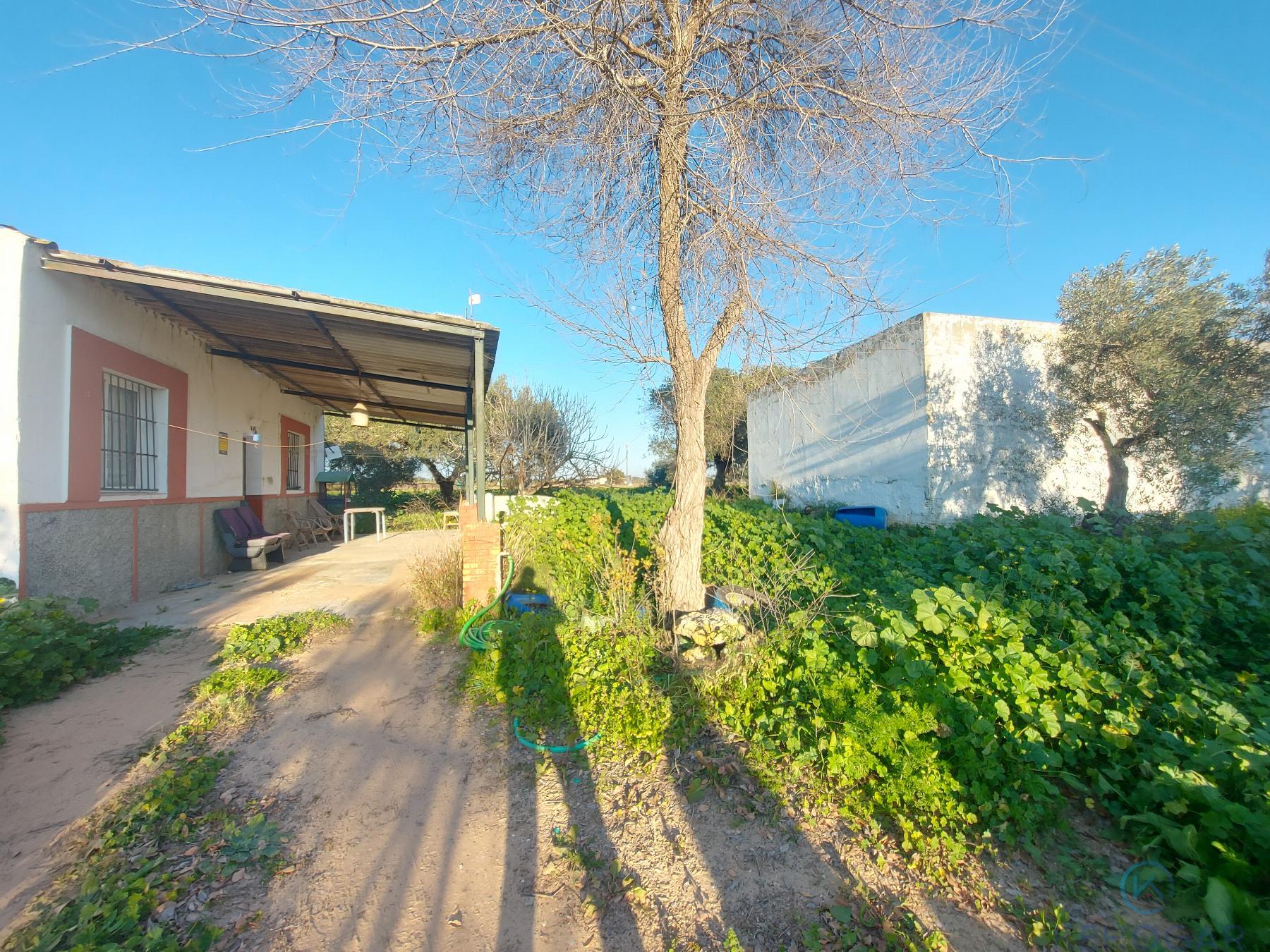 For sale of rural property in Dos Hermanas