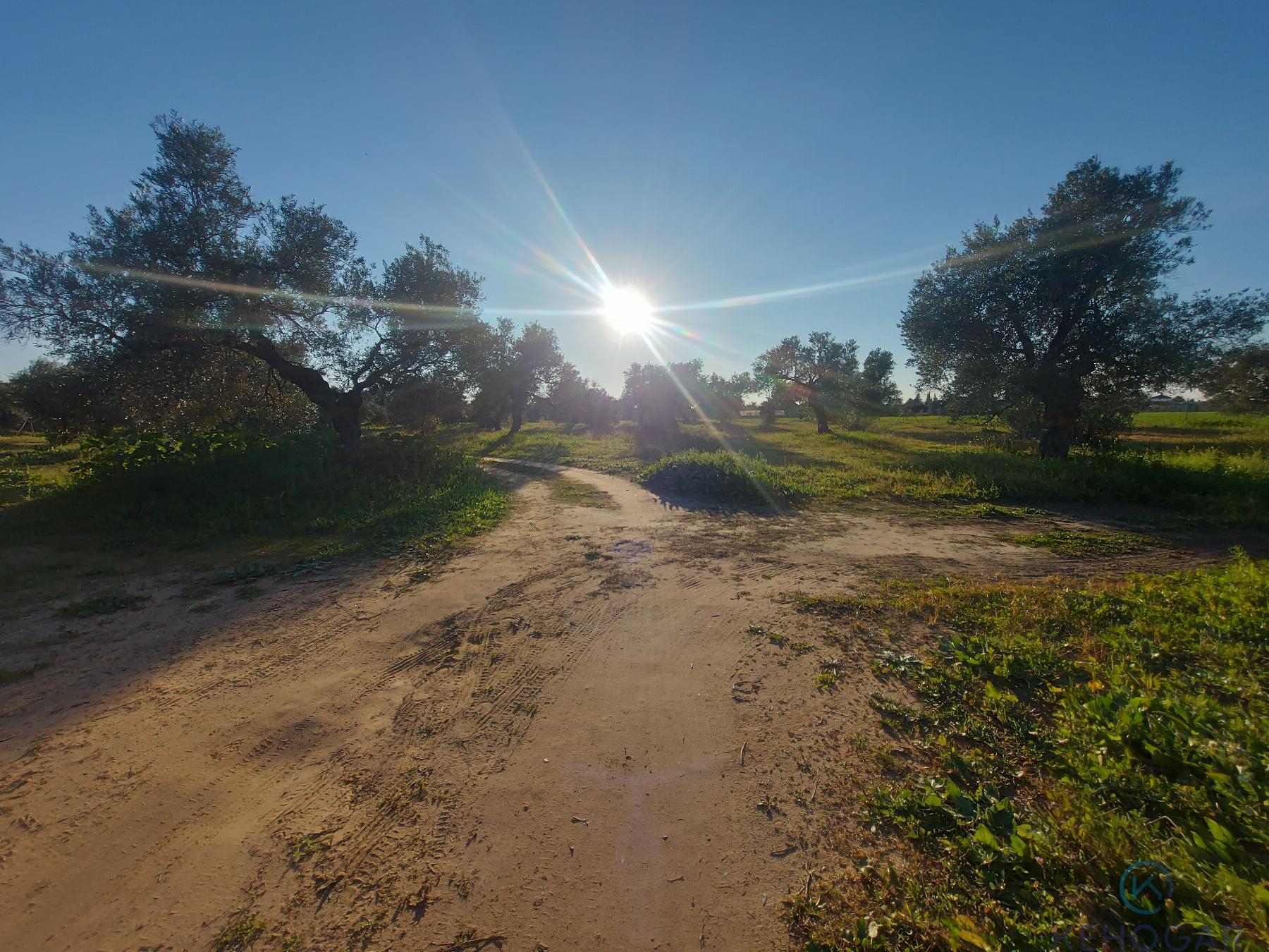 For sale of rural property in Dos Hermanas