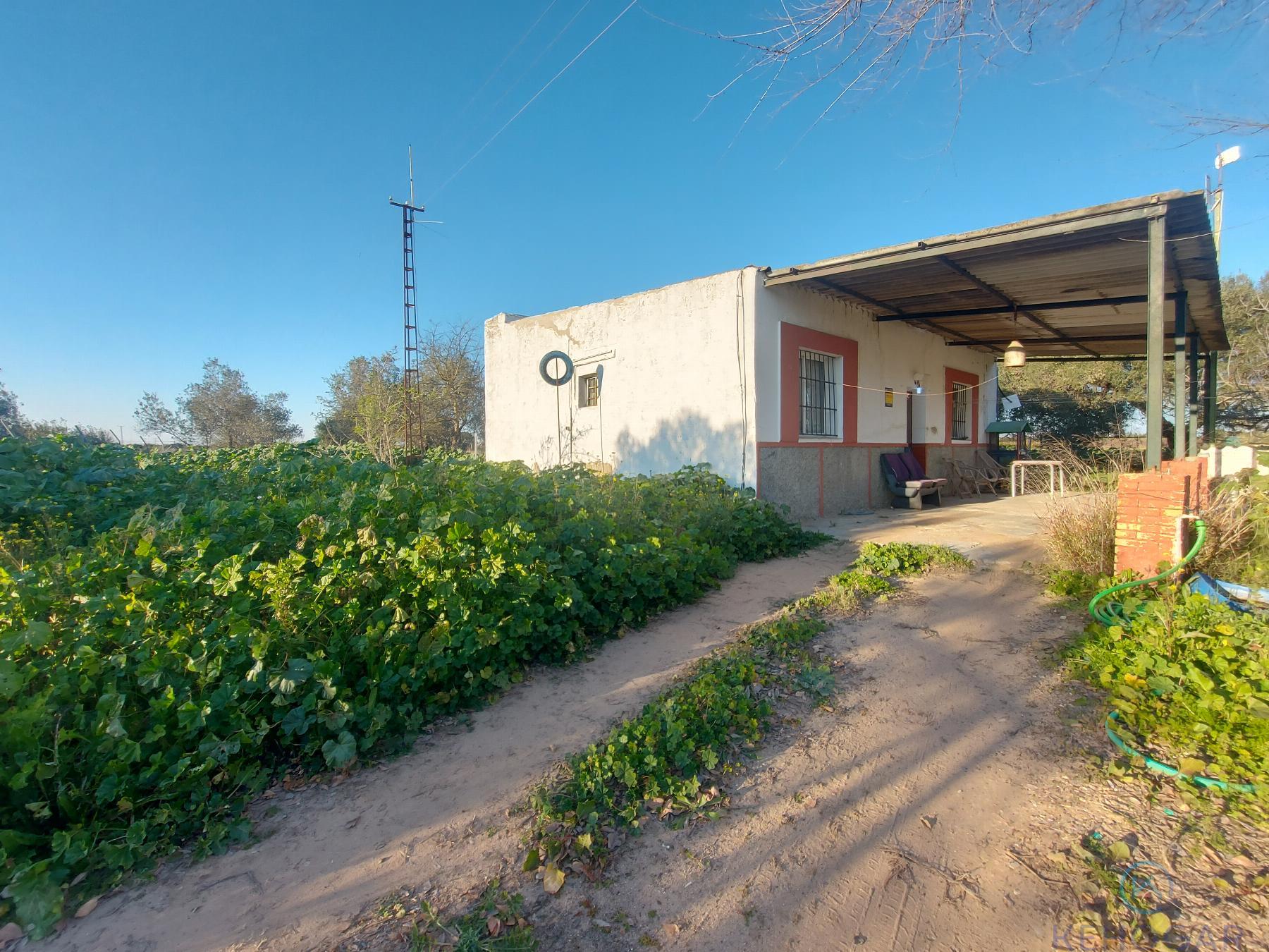 Venta de finca rústica en Dos Hermanas