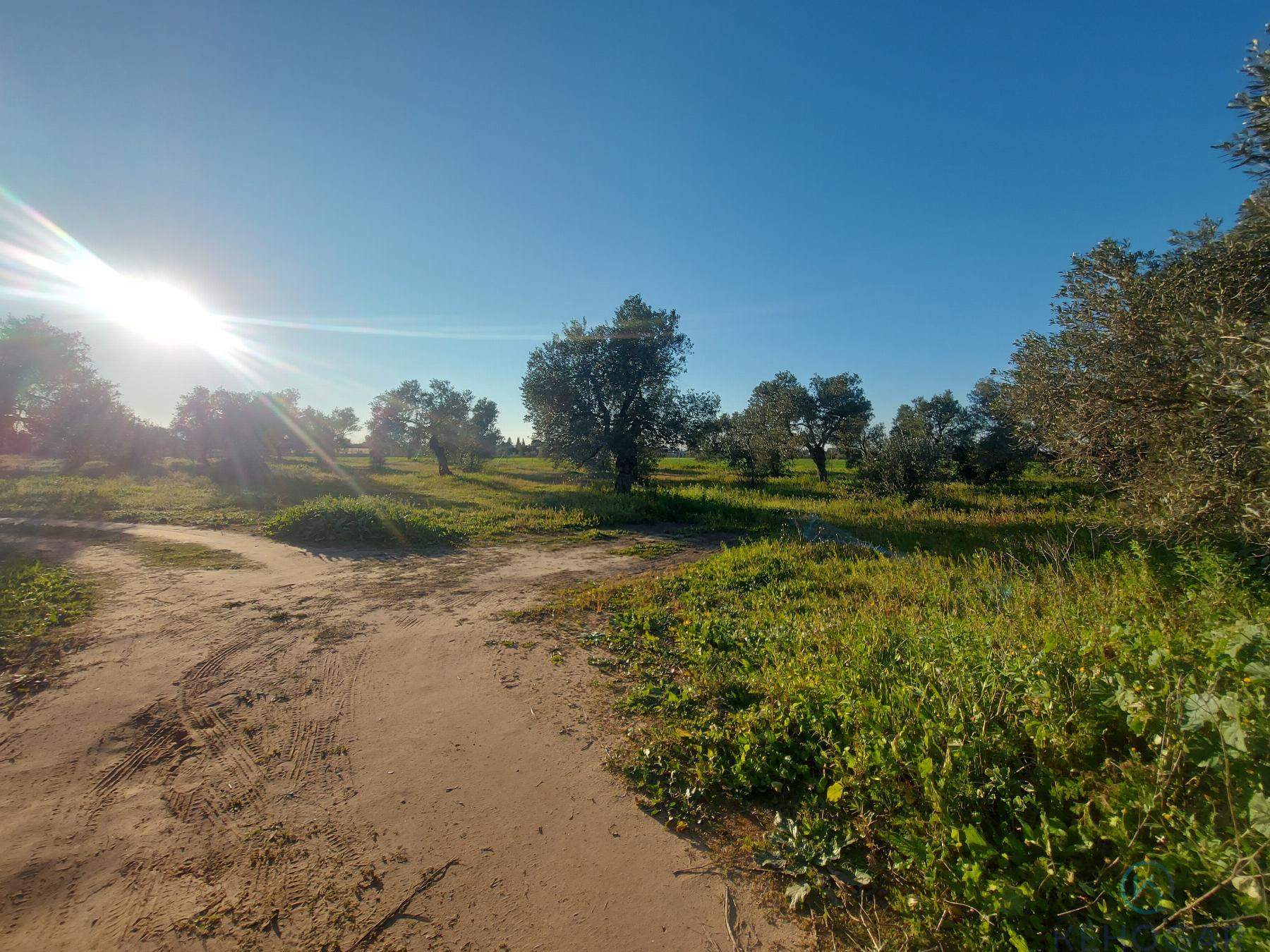 For sale of rural property in Dos Hermanas