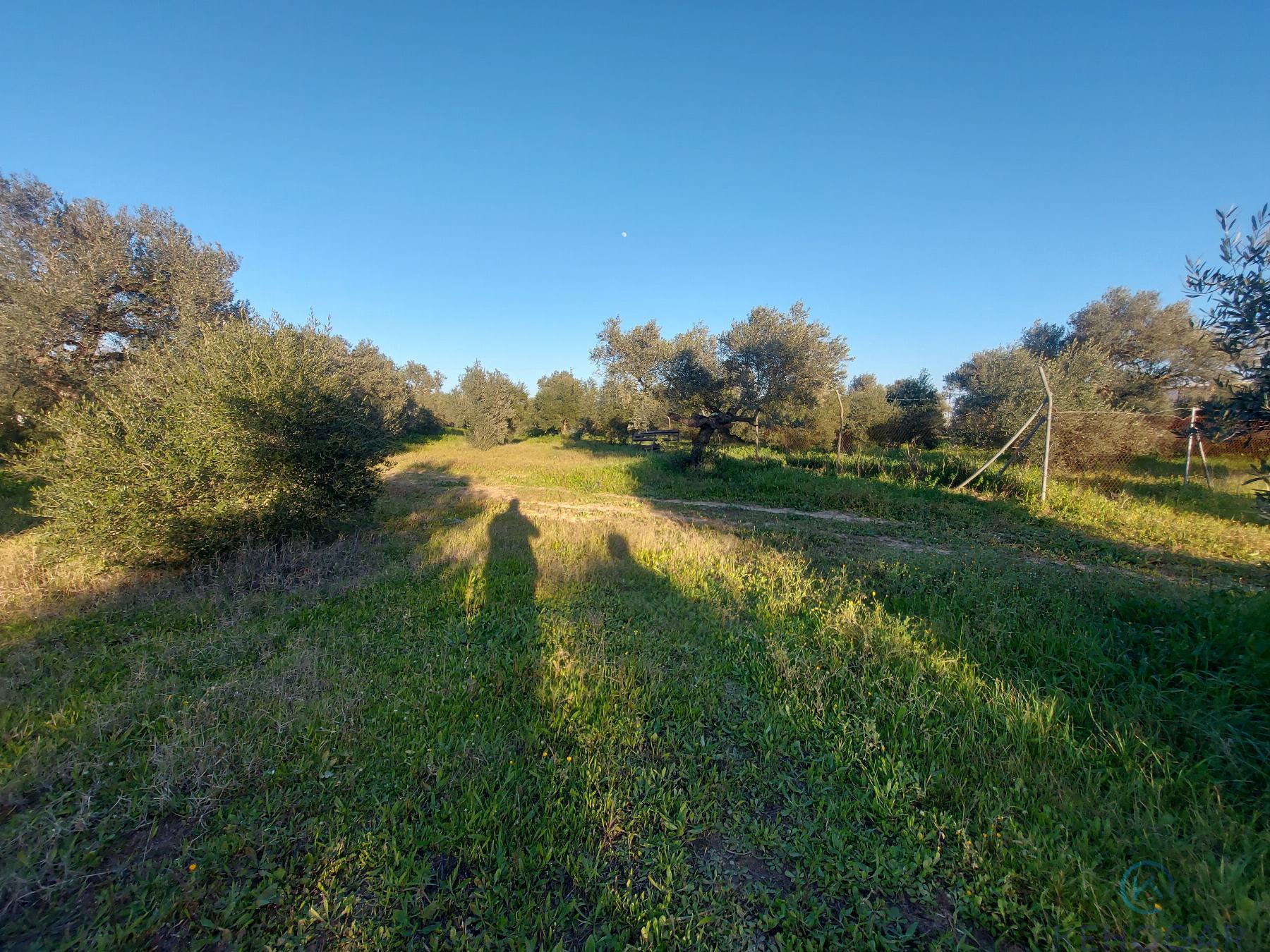 For sale of rural property in Dos Hermanas