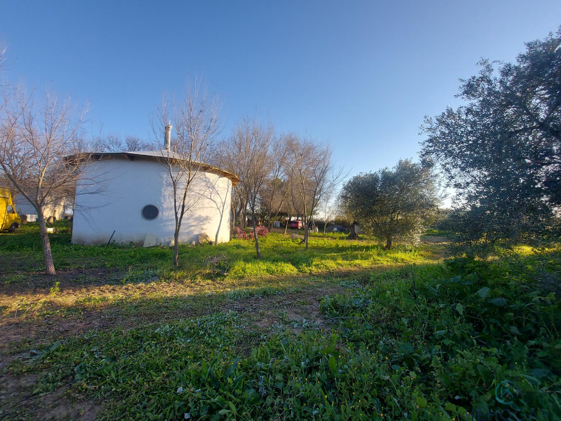 Venta de finca rústica en Dos Hermanas