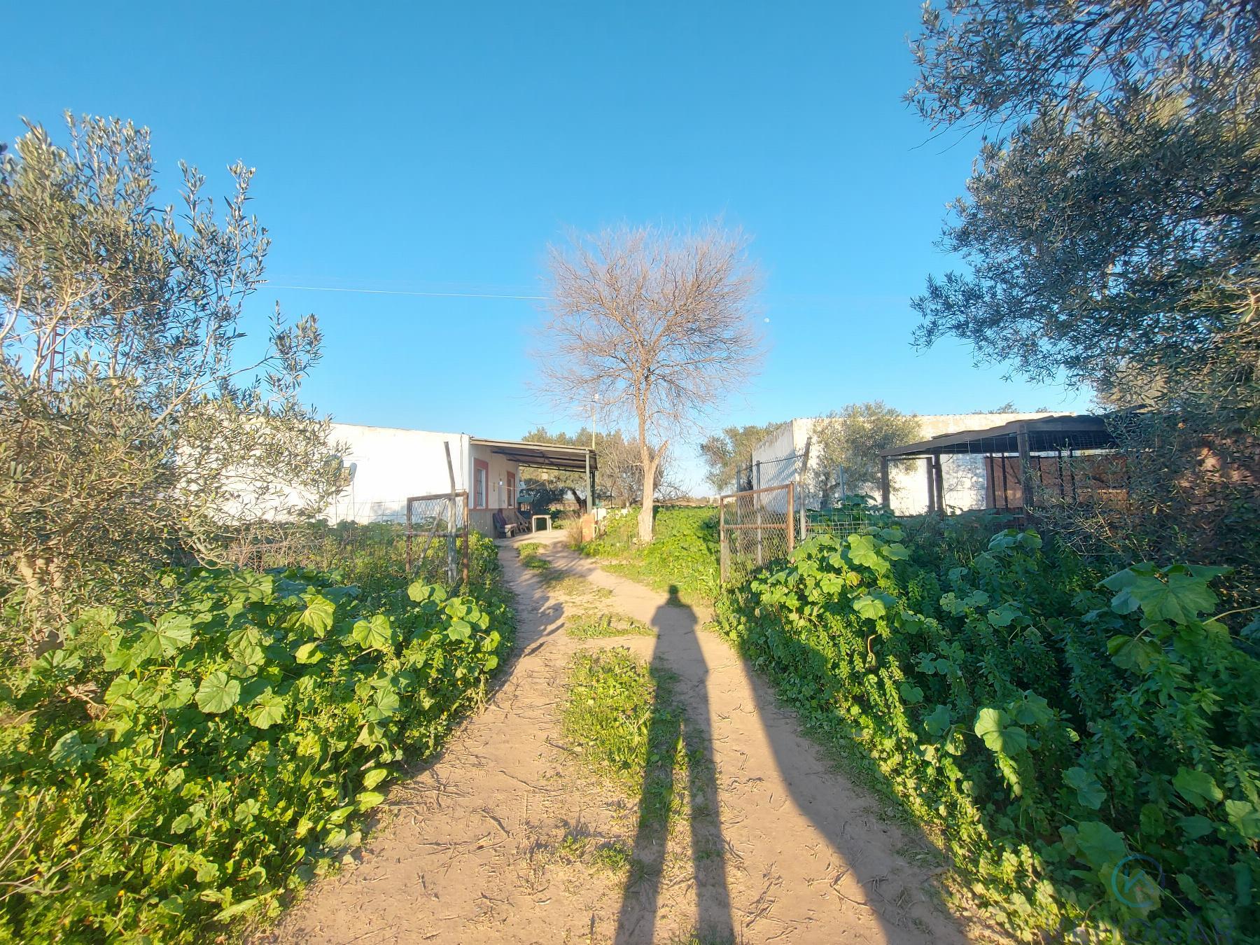 For sale of rural property in Dos Hermanas