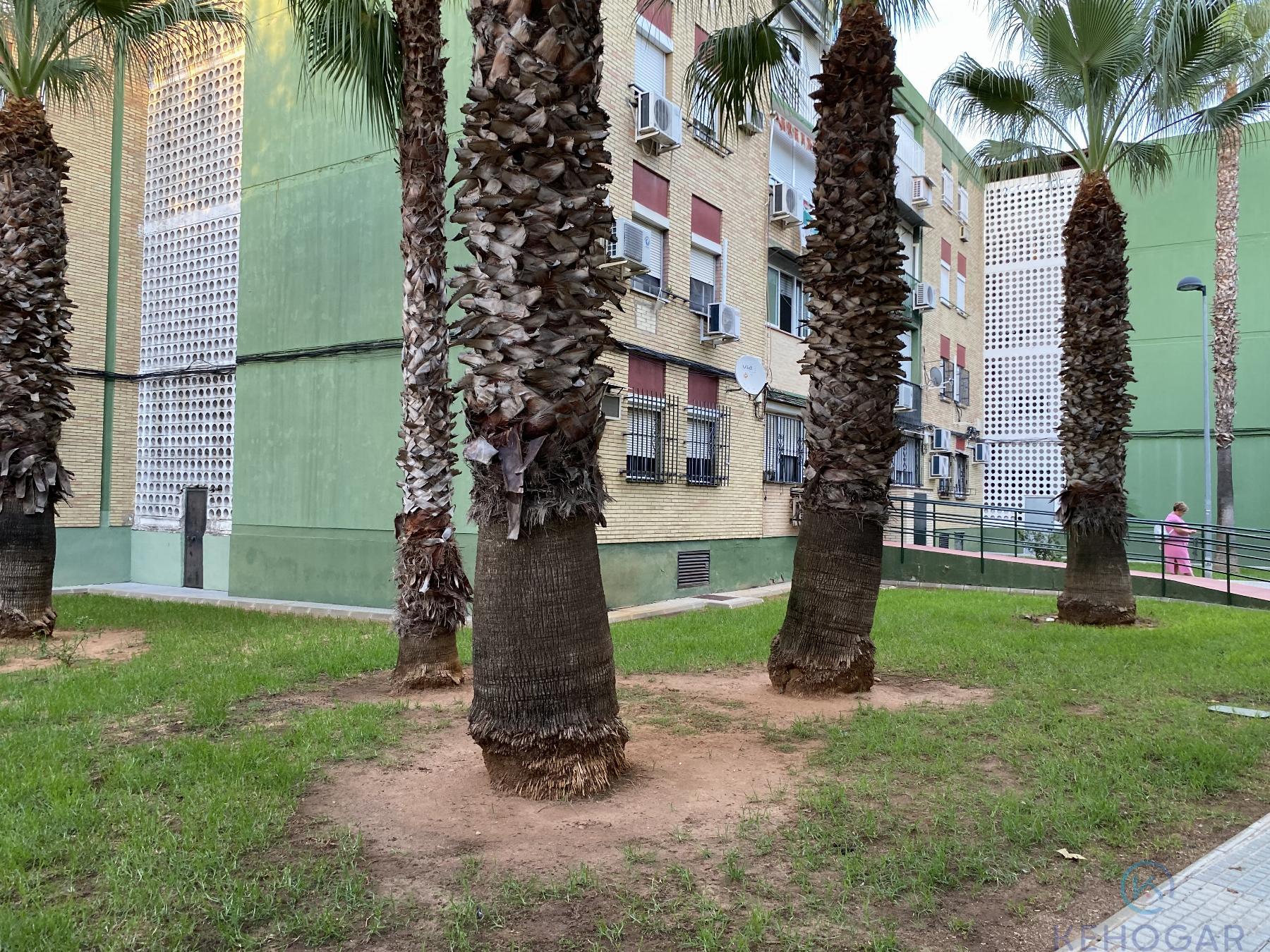 Surroundings