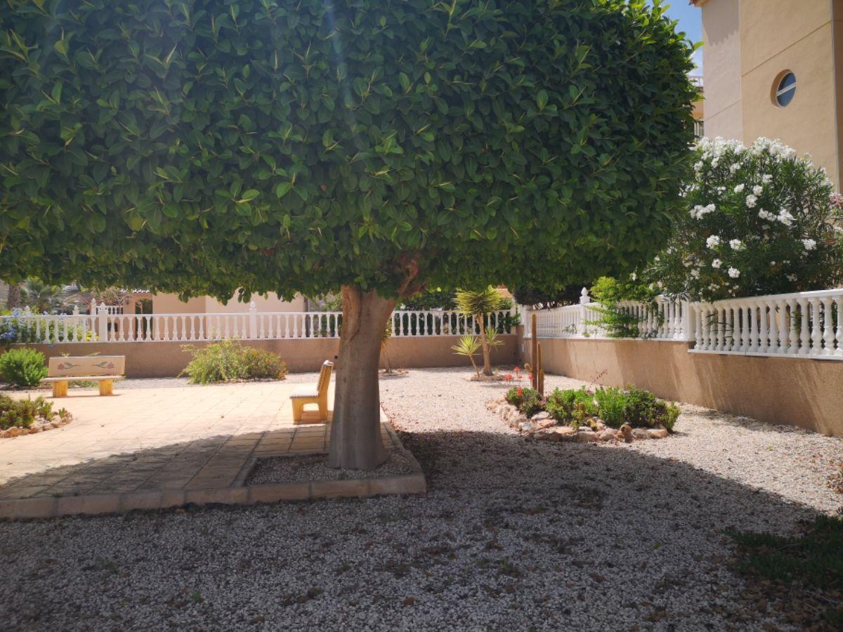 For sale of apartment in Orihuela Costa
