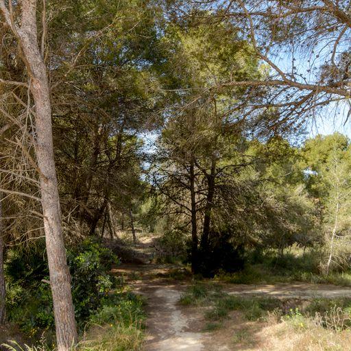 For sale of villa in San Miguel de Salinas