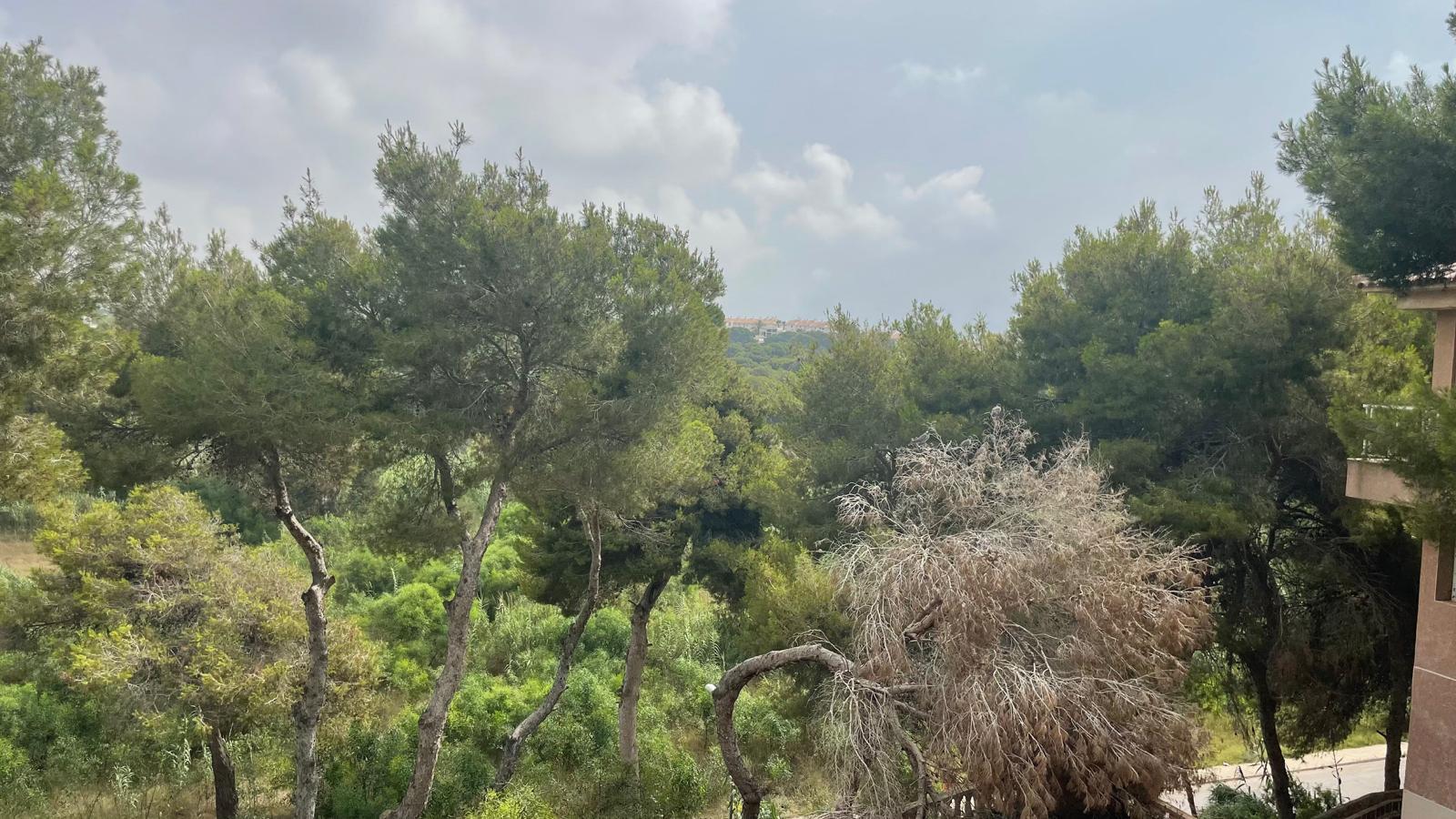 For sale of villa in Orihuela Costa