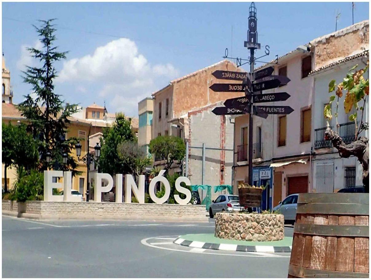 Venta de villa en Pinoso