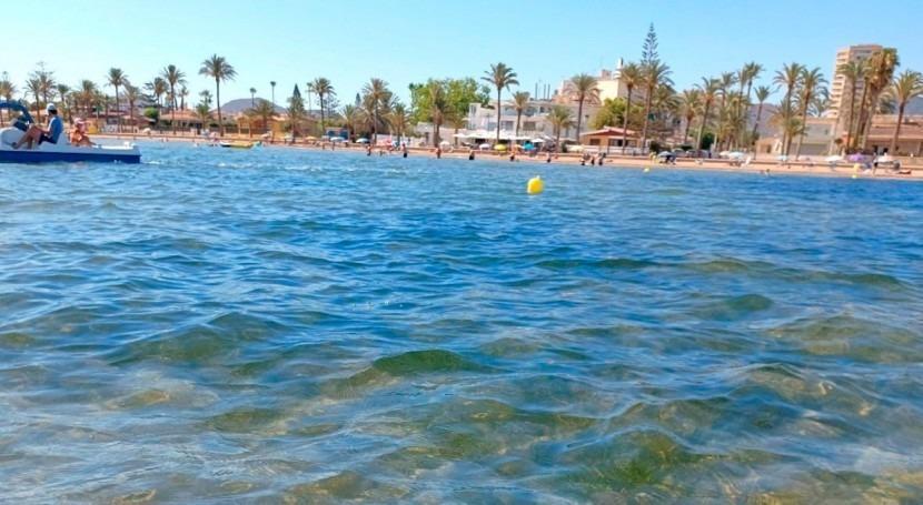 For sale of villa in Torre Pacheco