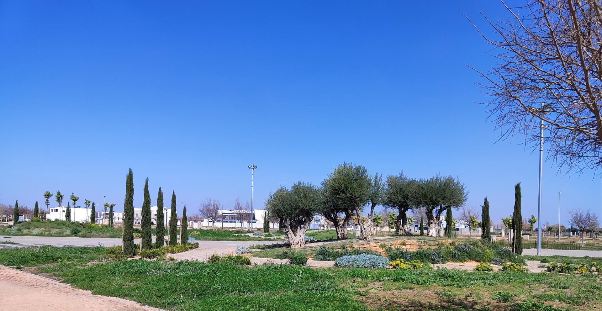 Venta de apartamento en Torre Pacheco