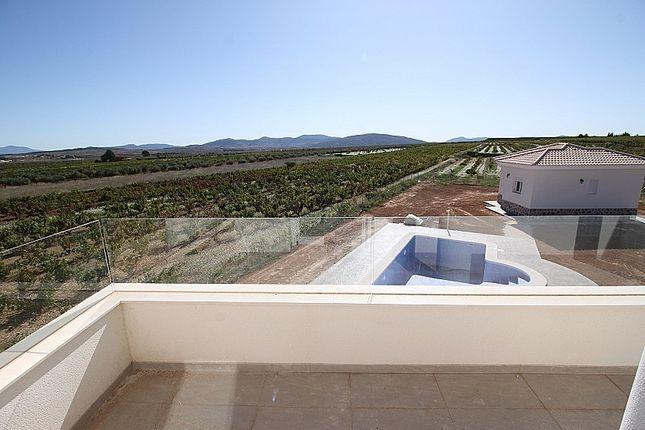 For sale of villa in Pinoso