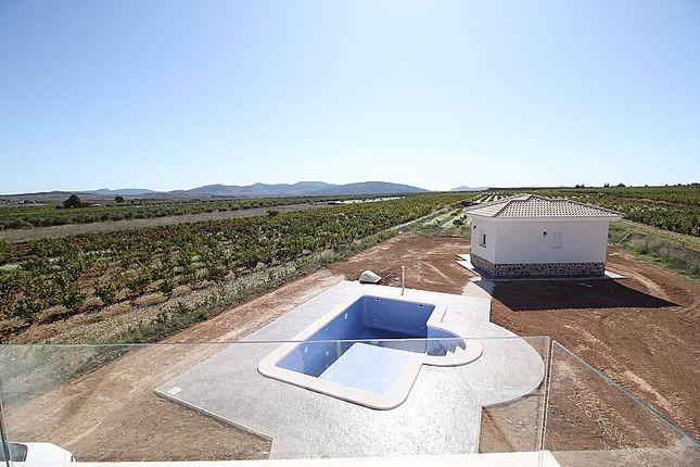 For sale of villa in Pinoso