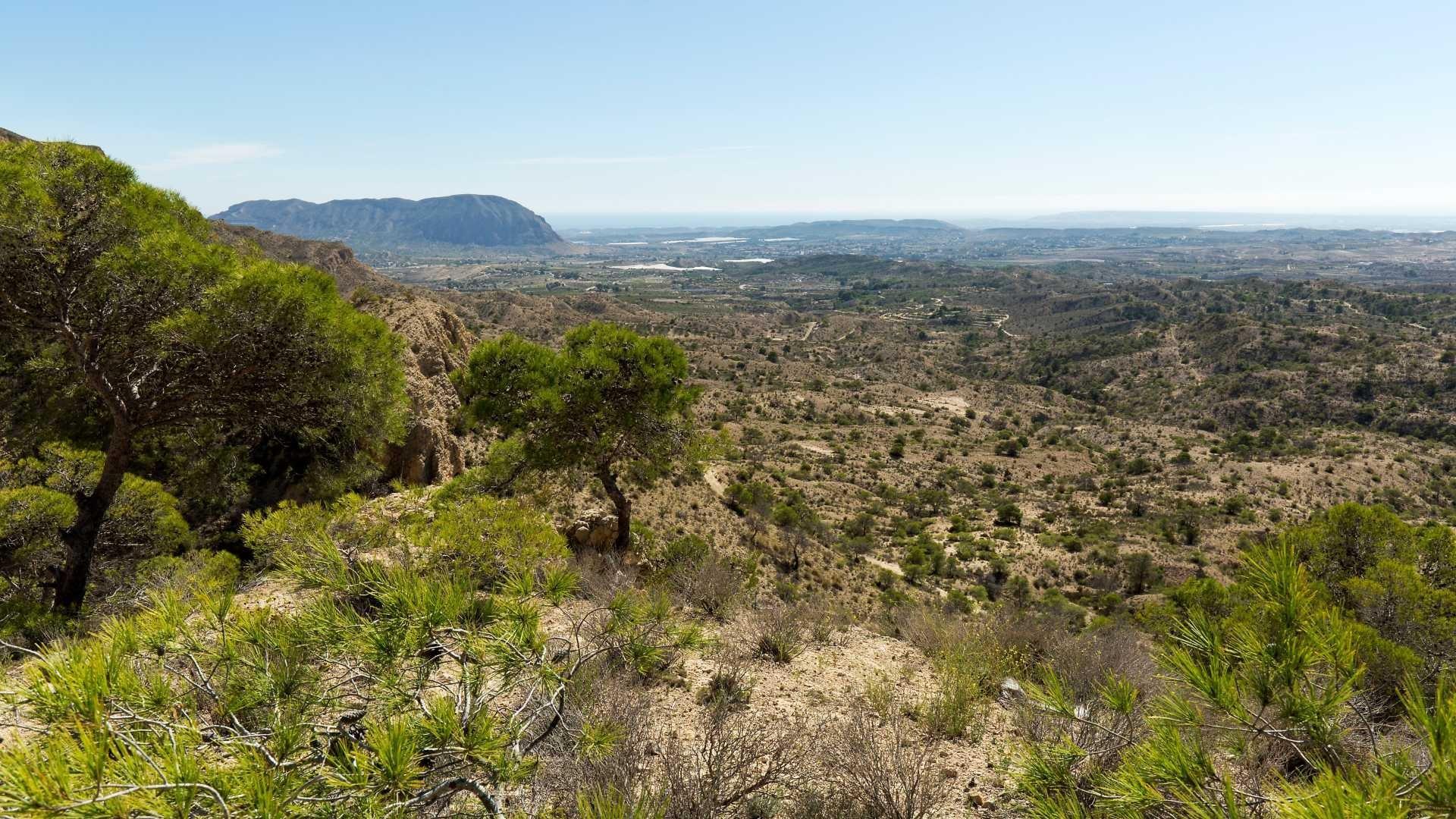 For sale of villa in Aspe