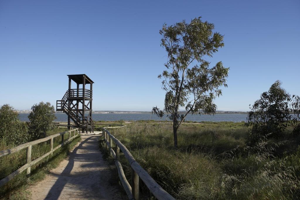 Venta de apartamento en San Miguel de Salinas