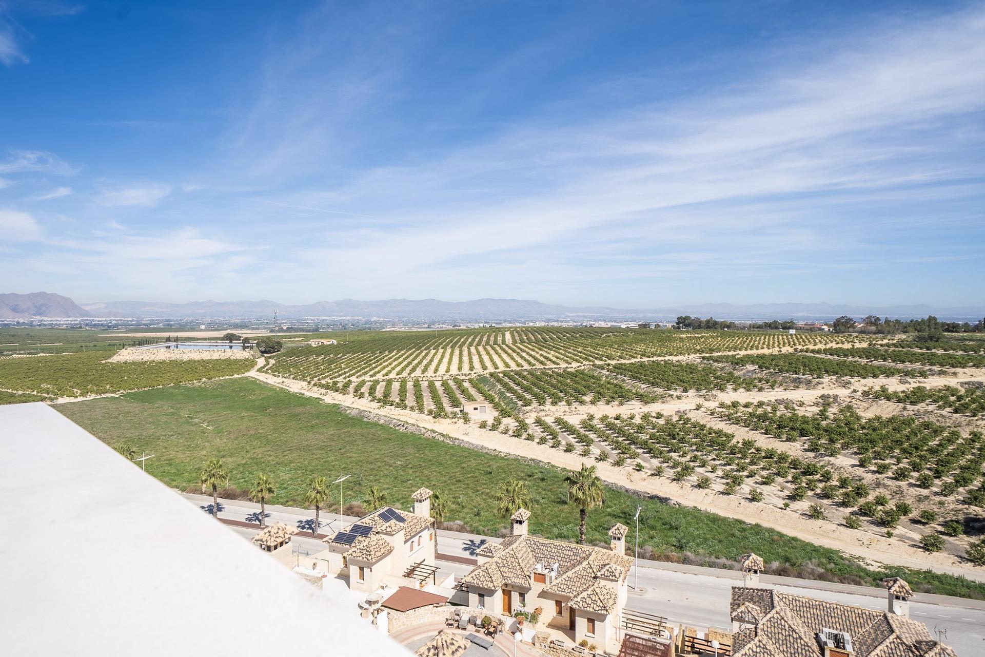 For sale of villa in Algorfa