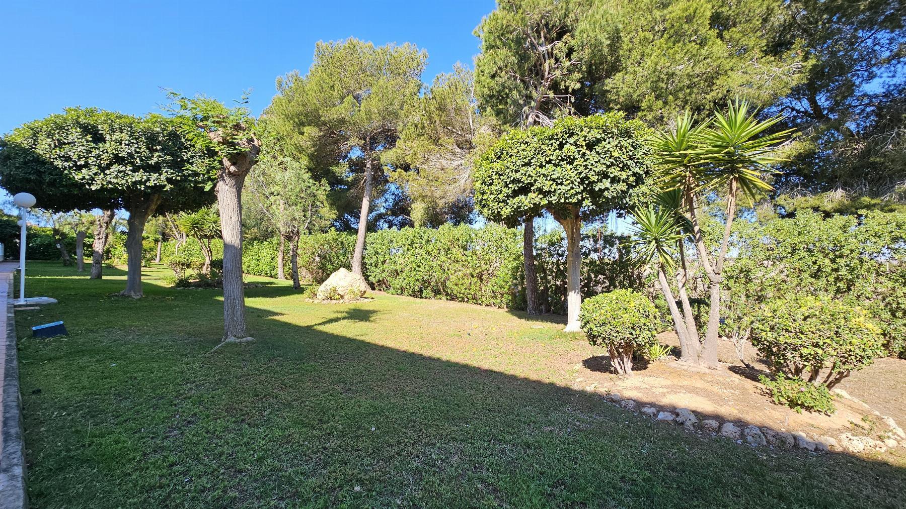For sale of apartment in Torrevieja
