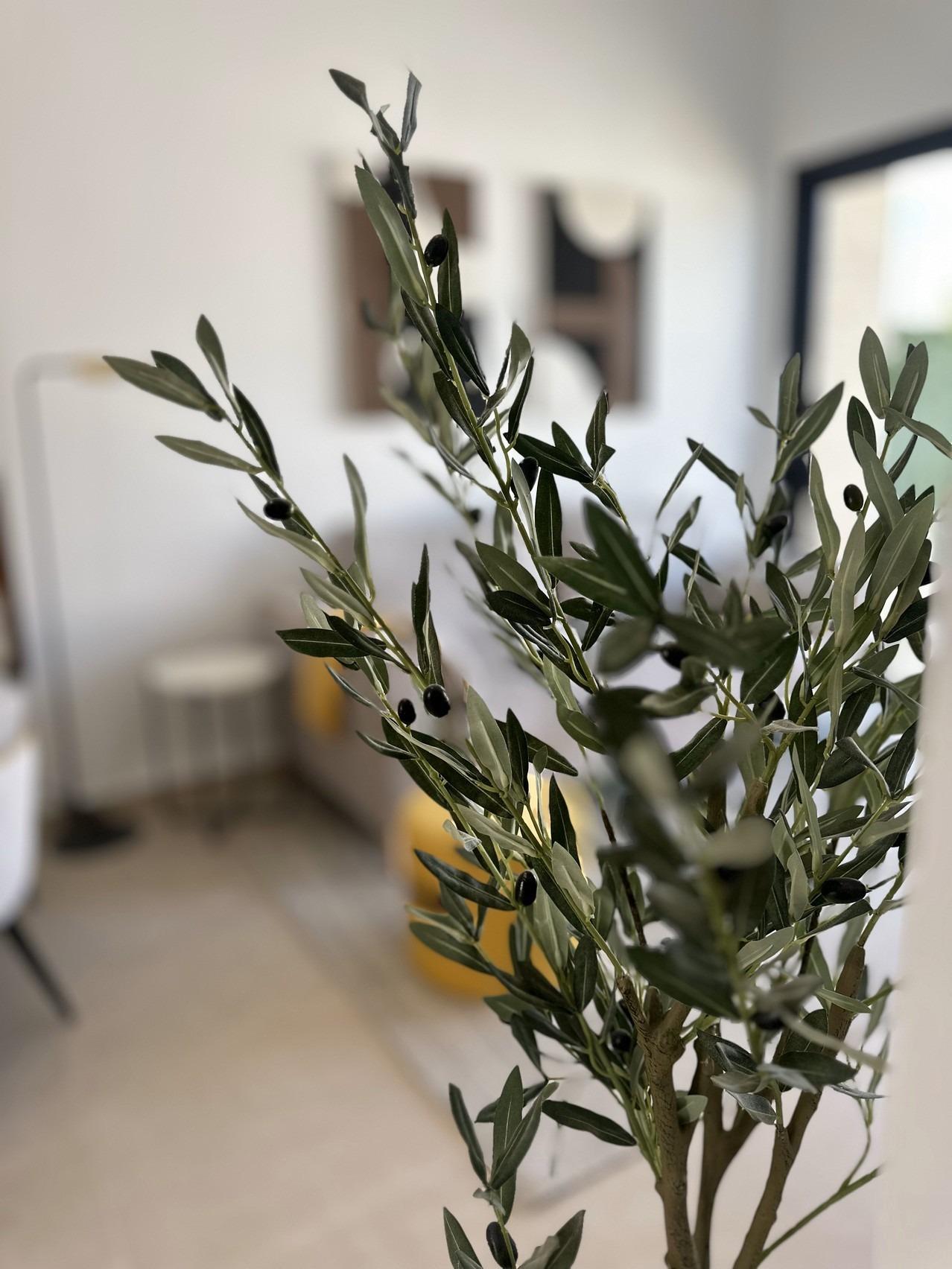 Venta de chalet en San Fulgencio