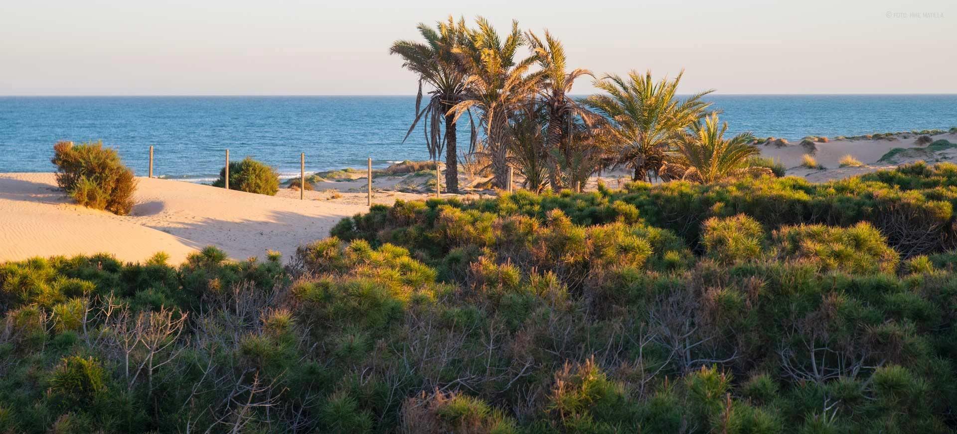 Venta de apartamento en Guardamar del Segura