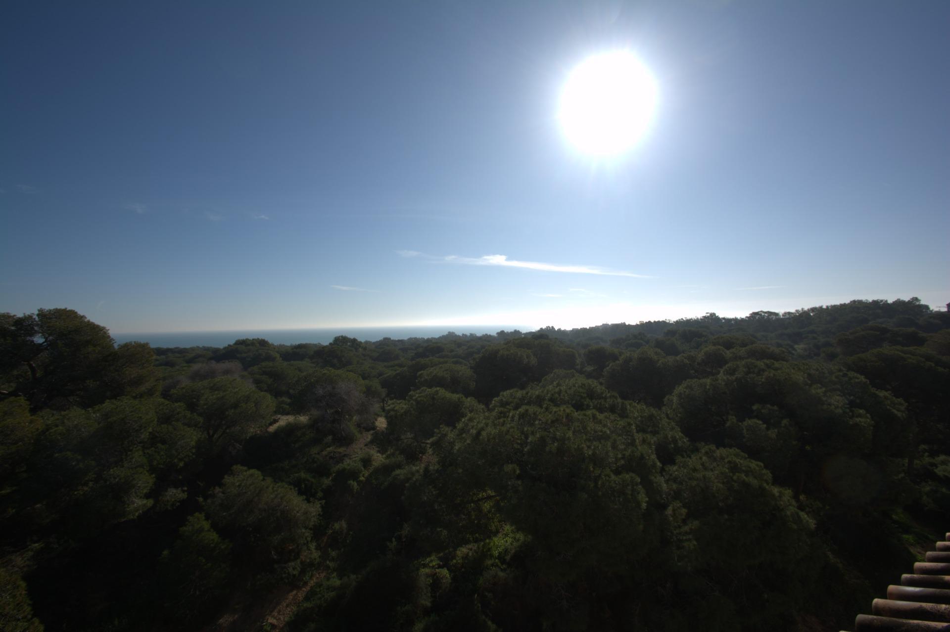 Venta de apartamento en Guardamar del Segura