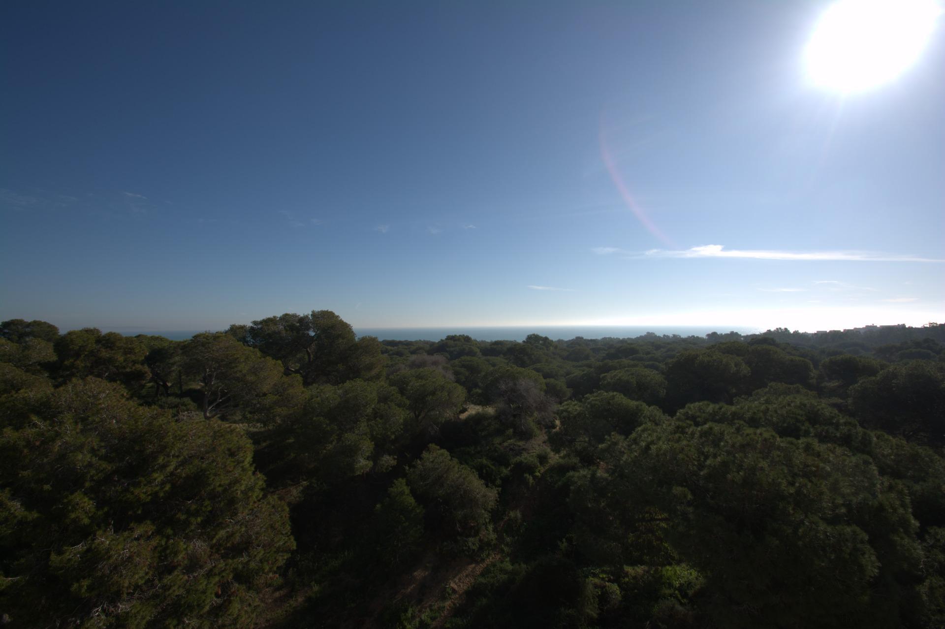Venta de apartamento en Guardamar del Segura