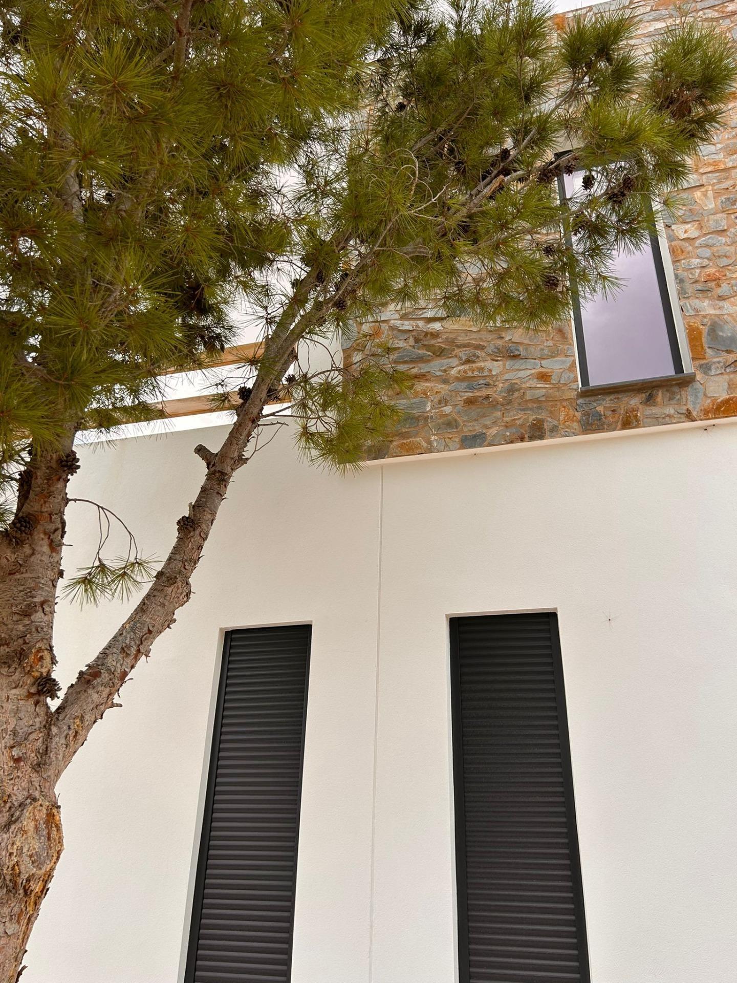Venta de villa en Pinoso