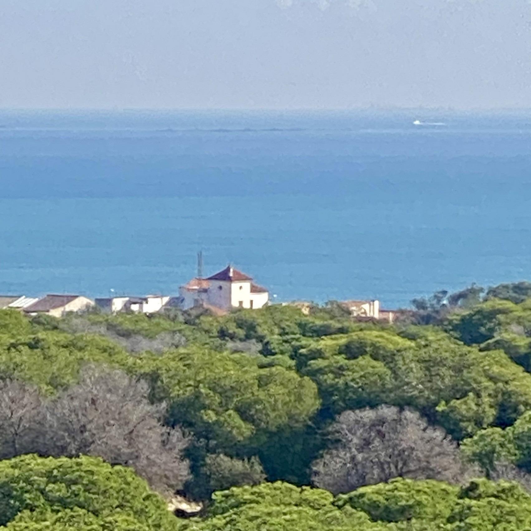 Venta de apartamento en Guardamar del Segura