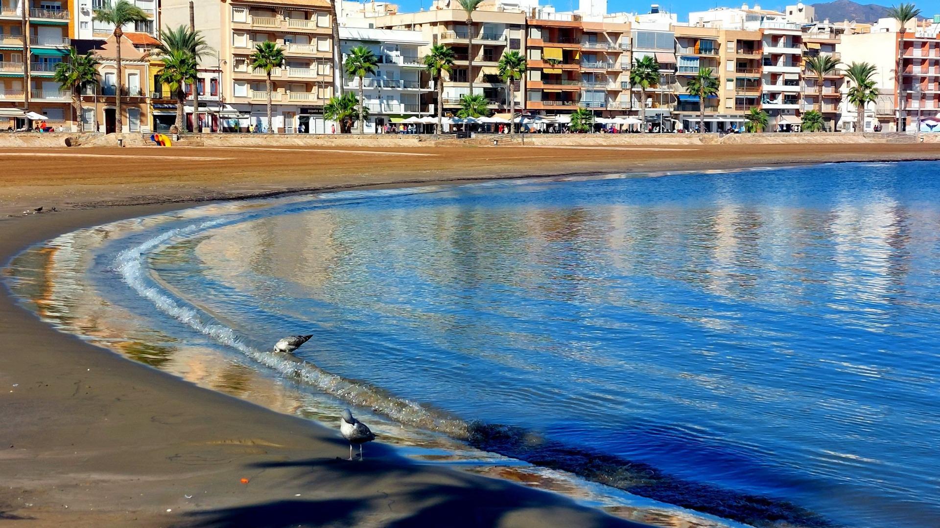 Venta de piso en Fuente Álamo de Murcia