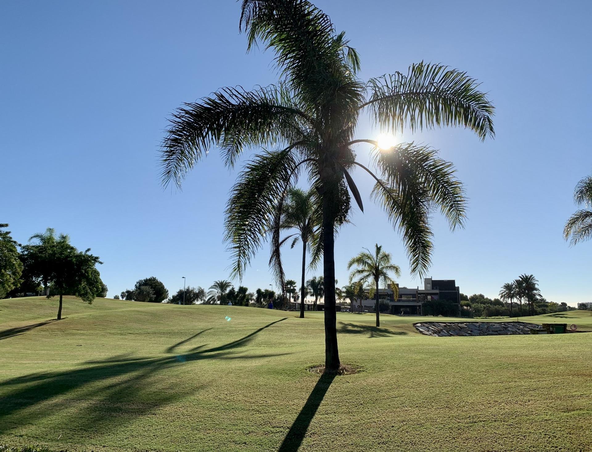 Venta de villa en San Javier