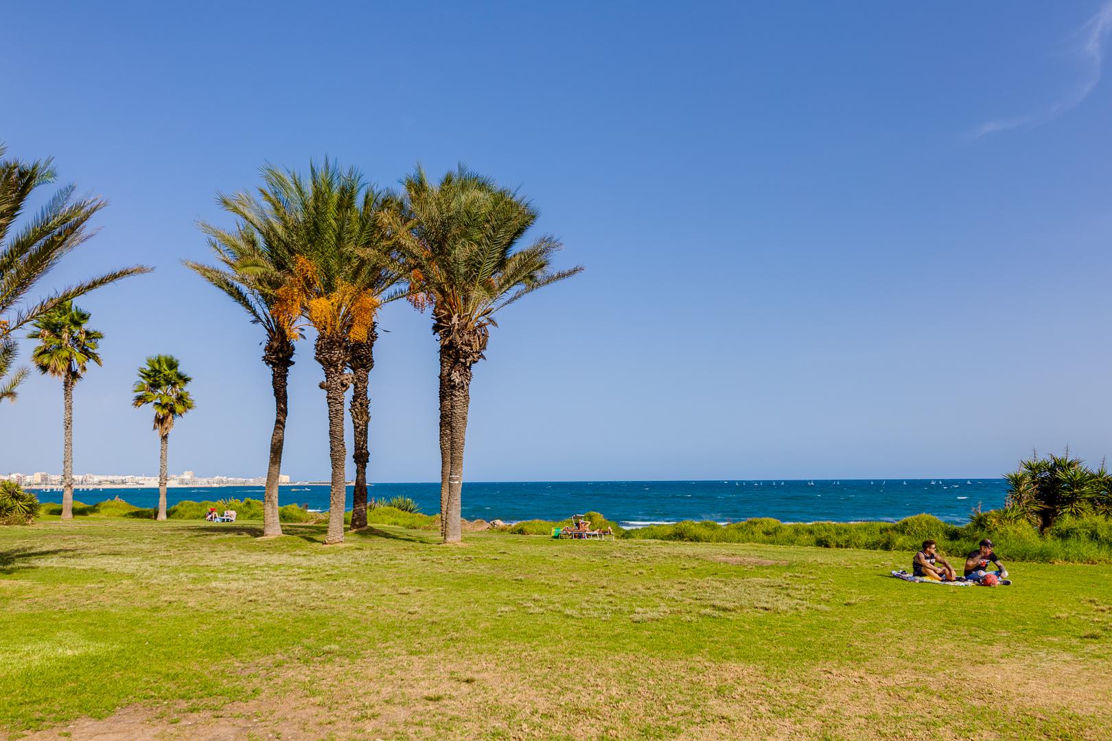 For sale of chalet in Torrevieja