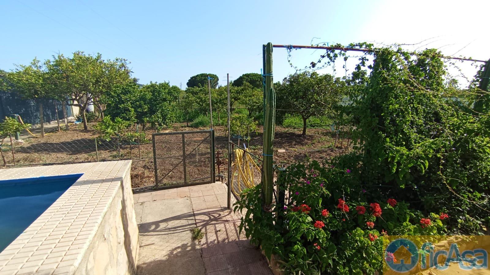 For sale of house in Castellón