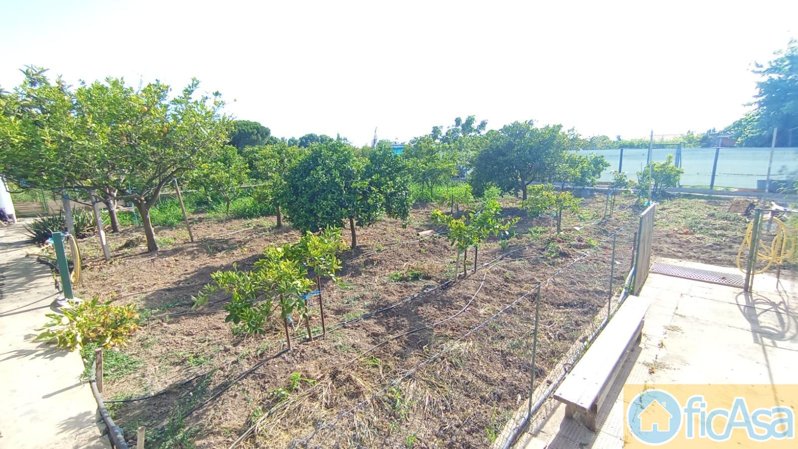For sale of house in Castellón