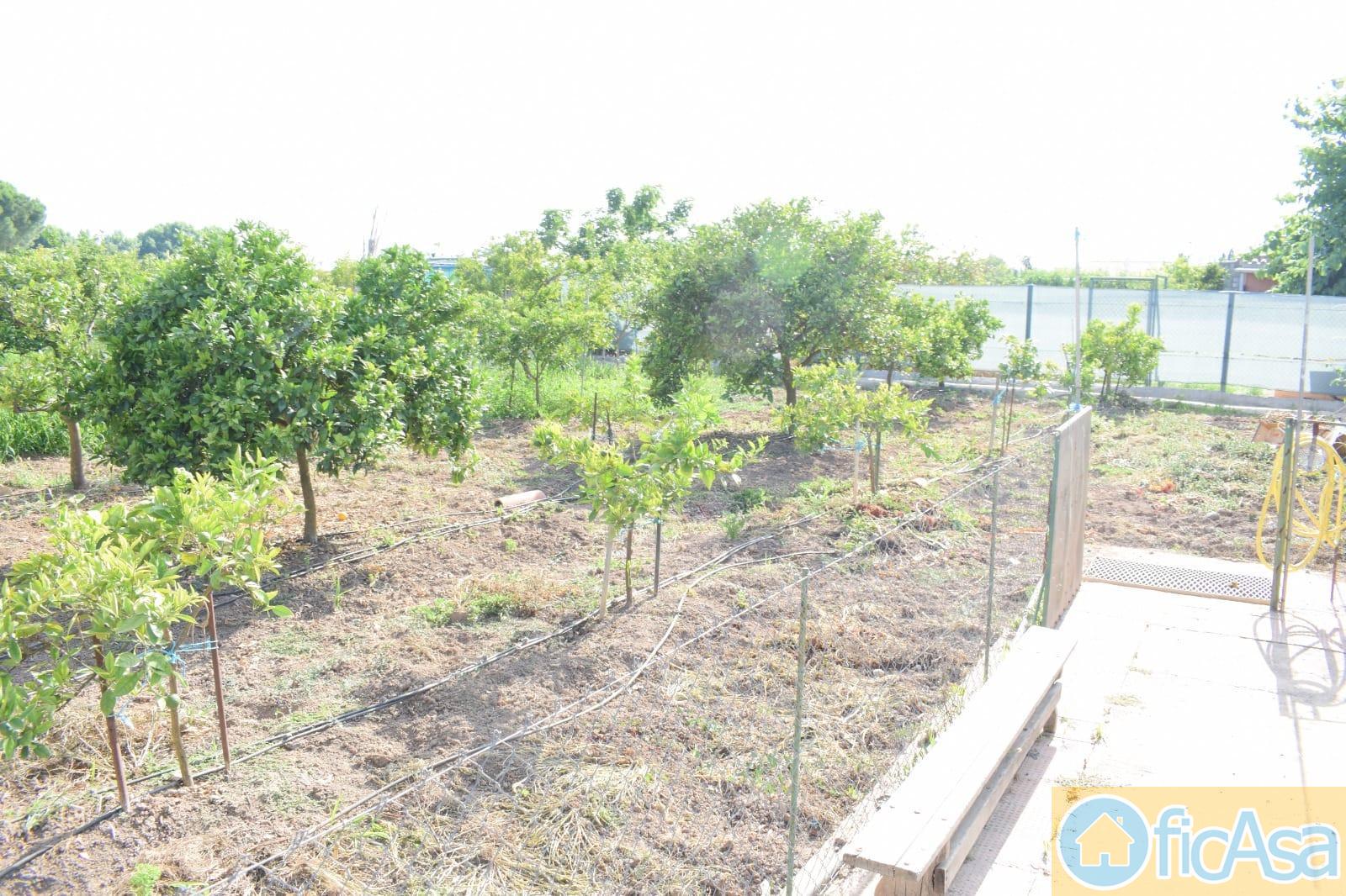 For sale of house in Castellón