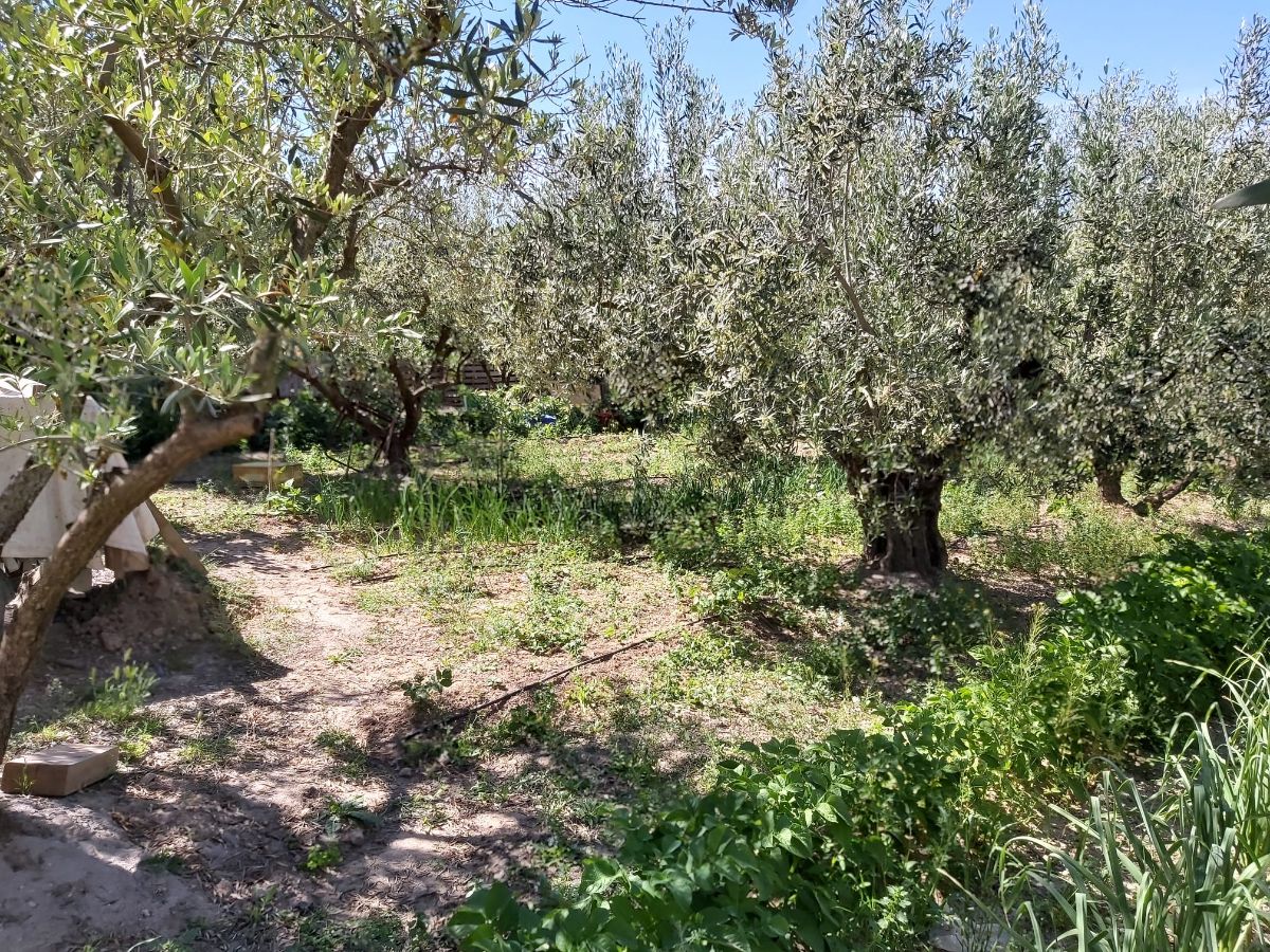 For sale of chalet in Caudete