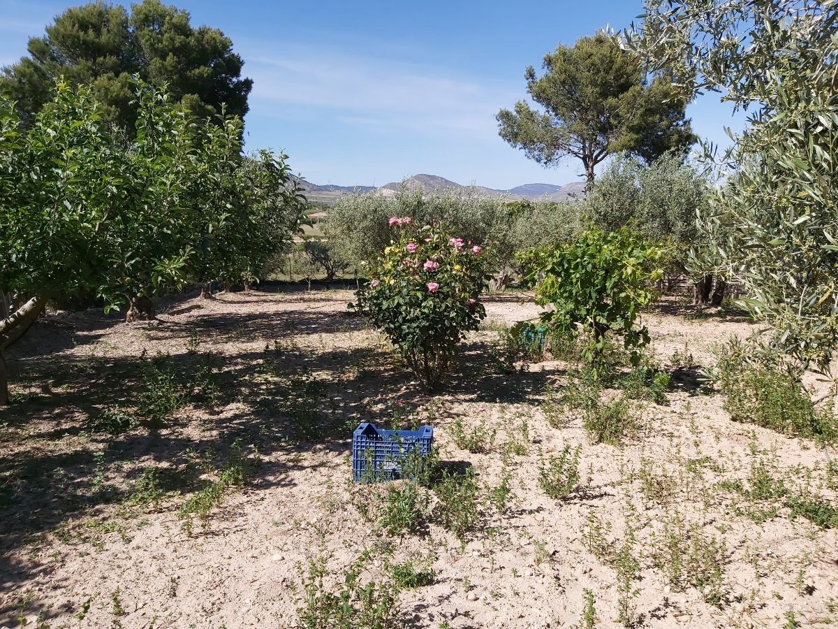 For sale of chalet in Caudete
