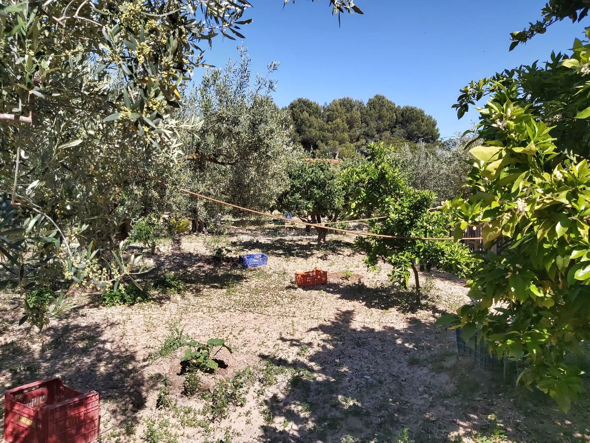 For sale of chalet in Caudete