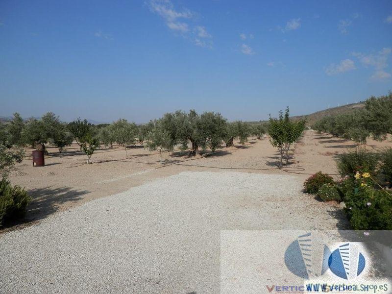 For sale of chalet in Caudete