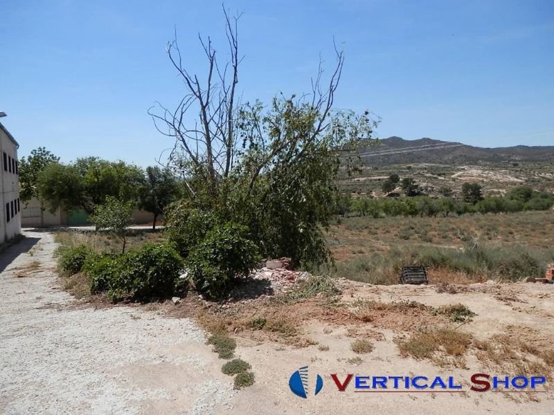 For sale of rural property in Caudete
