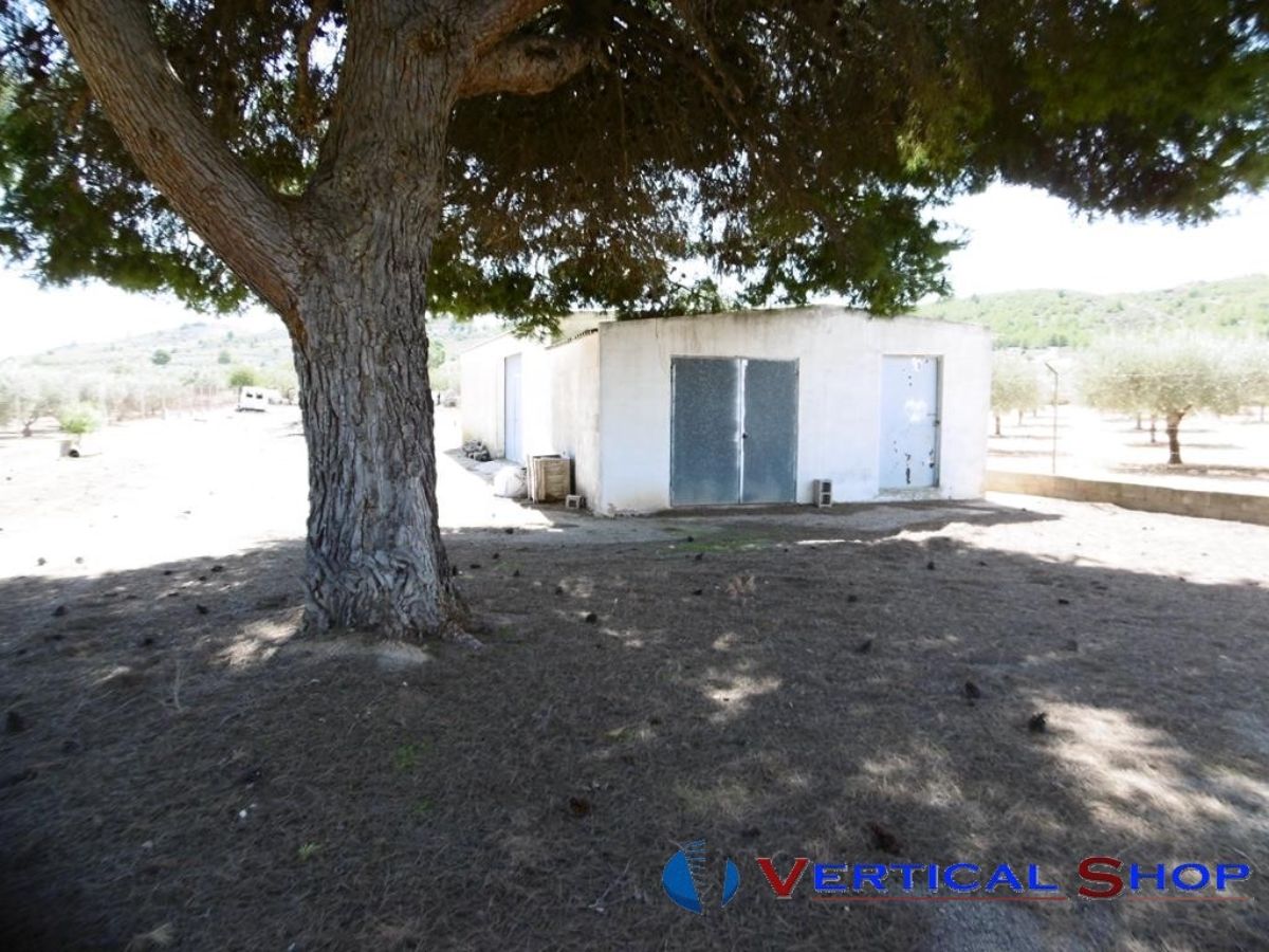 For sale of chalet in Caudete