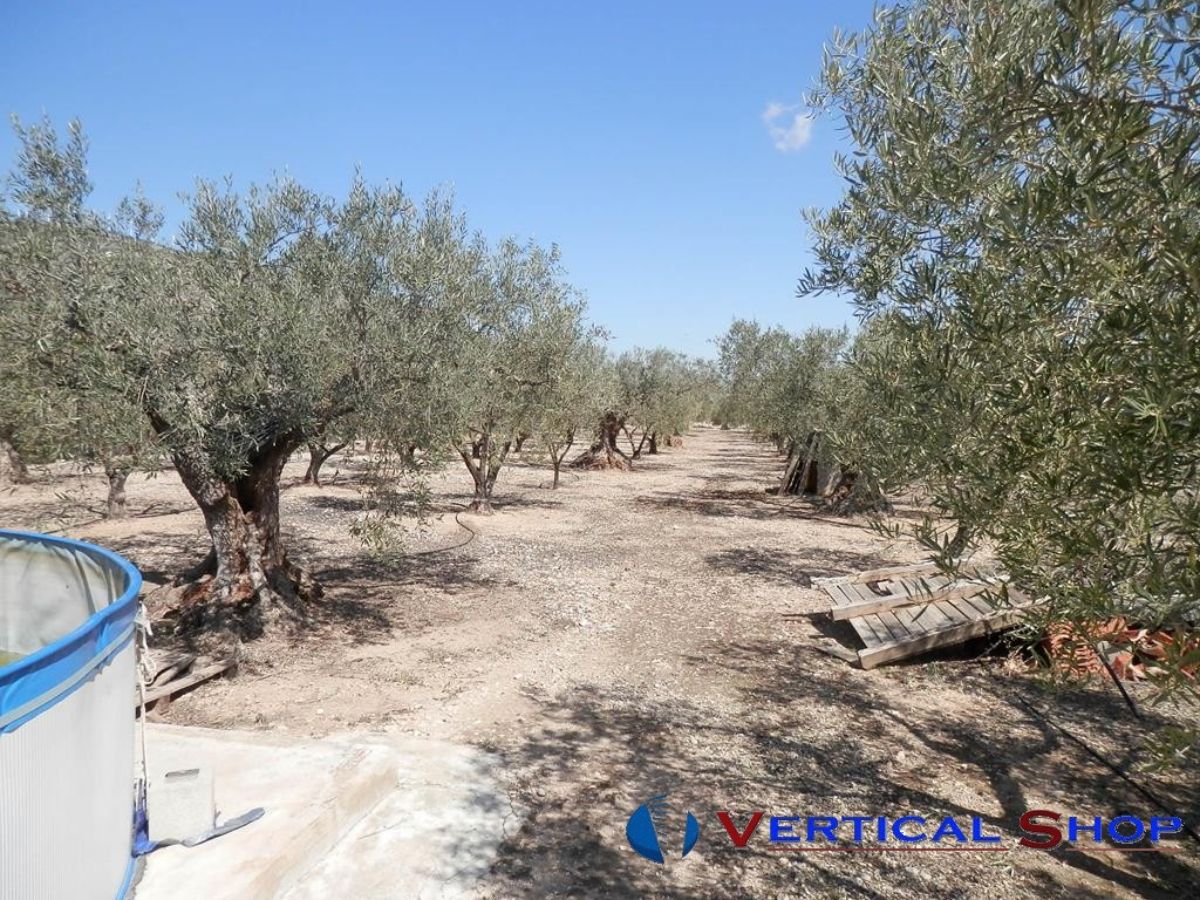 Venta de chalet en Caudete