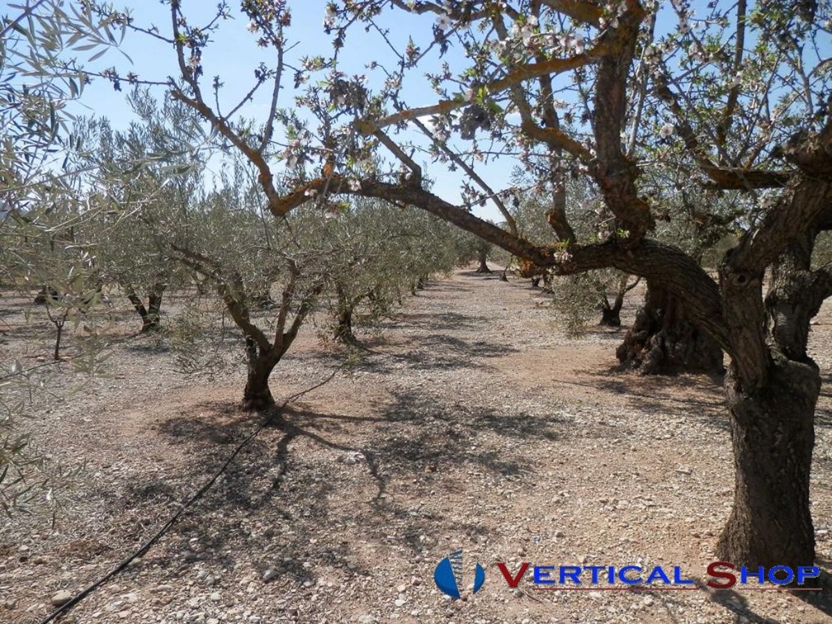 Venta de chalet en Caudete